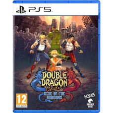 Double Dragon Gaiden: Rise of the Dragons (английская версия) (PS5)