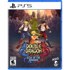 Double Dragon Gaiden: Rise of the Dragons (английская версия) (PS5)